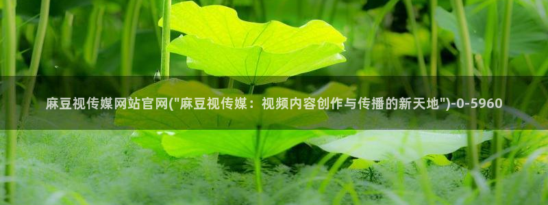 麻豆传媒官网最新视频：麻豆视传媒网站官网(\