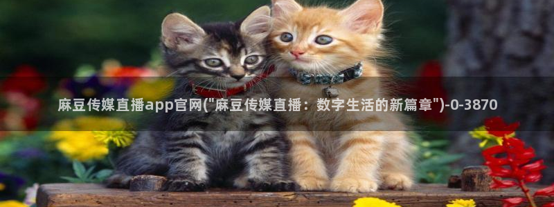 麻豆传媒官网樱桃：麻豆传媒直播app官网(\