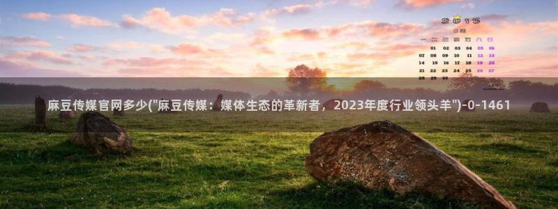 麻豆视频传媒官网：麻豆传媒官网多少(\