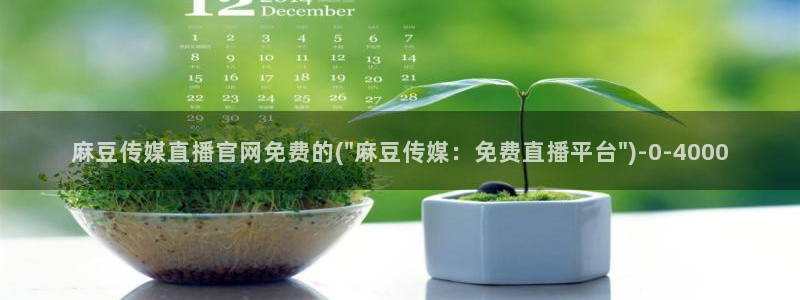 在线 麻豆传媒官网：麻豆传媒直播官网免费的(\