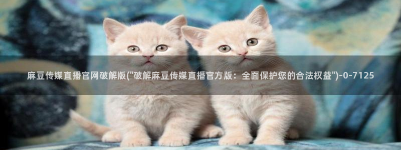 麻豆传媒官网app污：麻豆传媒直播官网破解版(\