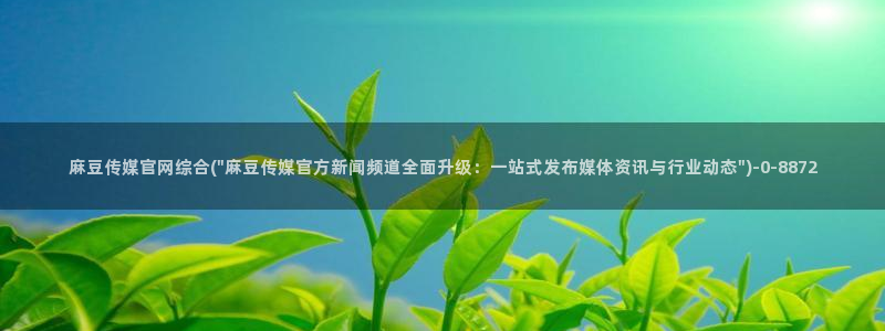 麻豆短传媒官网安卓下载：麻豆传媒官网综合(\