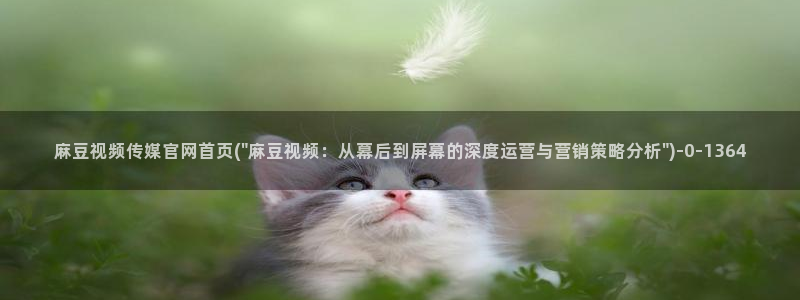 麻豆传媒官网怎么打开：麻豆视频传媒官网首页(\
