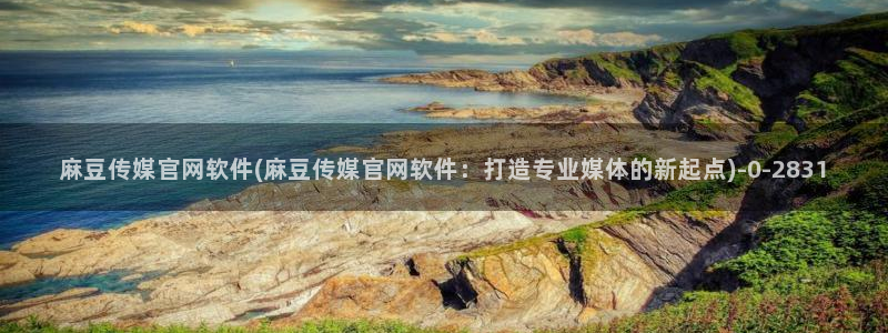 麻豆91传媒官网