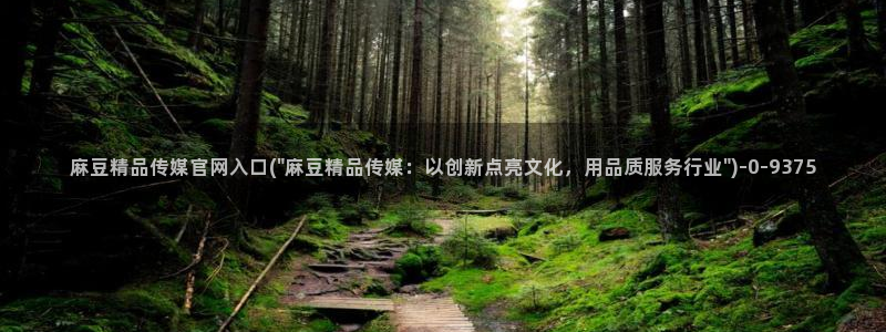 m麻豆传媒官网：麻豆精品传媒官网入口(\