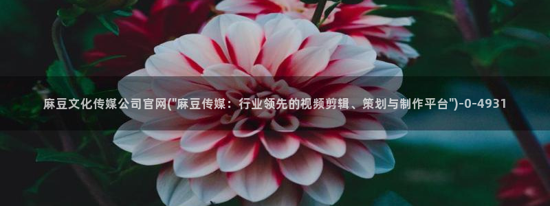 麻豆啊传媒官网黄色：麻豆文化传媒公司官网(\