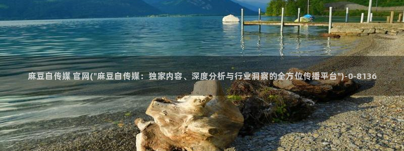 mdpun麻豆传媒官网