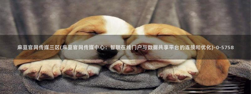 麻豆传媒官网app麻豆视频：麻豆官网传媒三区(麻豆官网传媒中心：智联在线门户与数据共享平台的连接和优化)