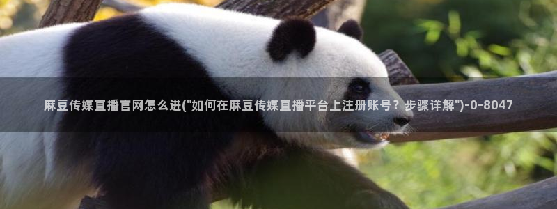 麻豆床传媒官网免费入口：麻豆传媒直播官网怎么进(\