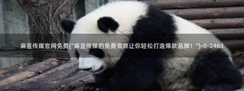 2020麻豆传媒官网