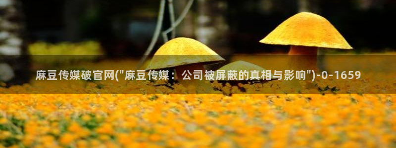 麻豆视传媒官网污