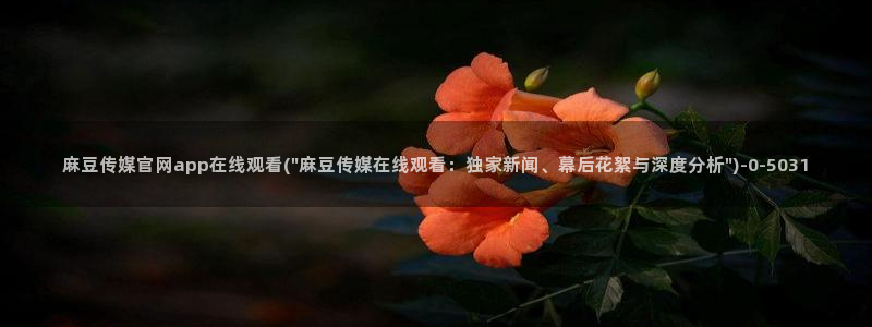 麻豆传媒官网a