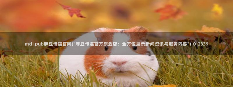 台湾麻豆传媒官网app