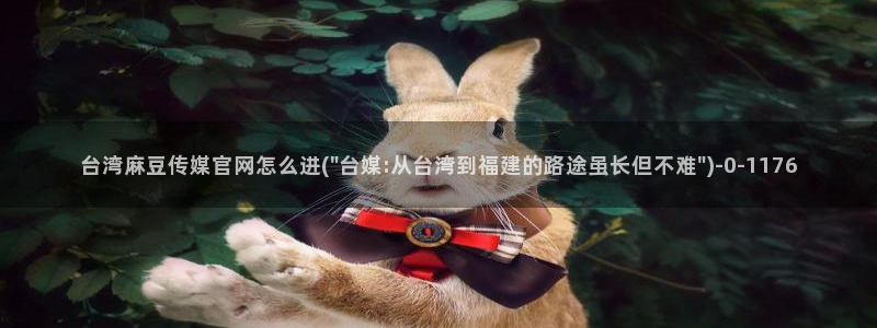 麻豆传媒91官网